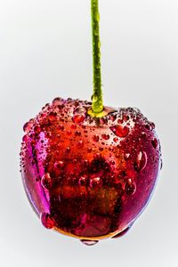 Close-up of red fruit over white background