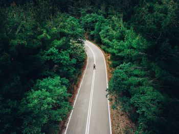 Road amidst trees in forest