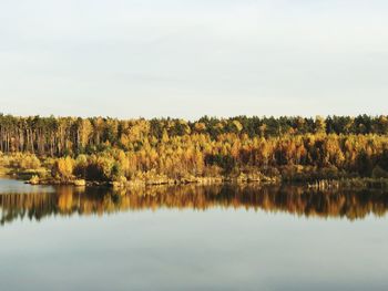 Scenic view of lake by trees against sky