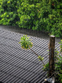 High angle view of metal fence against trees