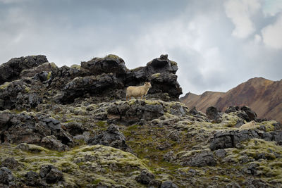 Low angle view of rocks on mountain against sky