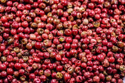 Full frame shot of red berries