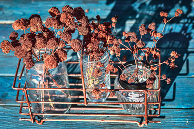 Close-up of flowering plants on table