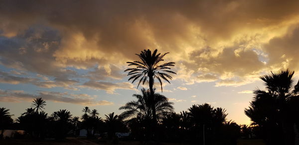 Silhouette palm trees against sky during sunset