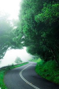 Road amidst trees against sky