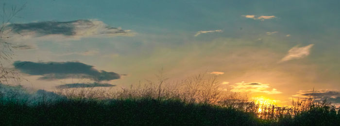 Scenic view of field against sky during sunset