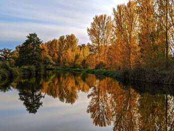 Reflection of trees in lake against sky during autumn