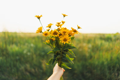 Cropped hand of woman holding yellow flower