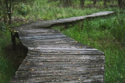 Close-up of wooden boardwalk in forest