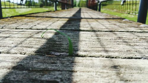 Close-up of shadow on walkway