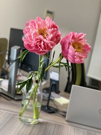 Peony on desk