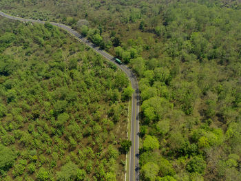 Aerial shot of road between the forests in national park situbondo, east java