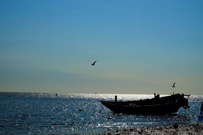 Silhouette birds flying over sea against clear sky