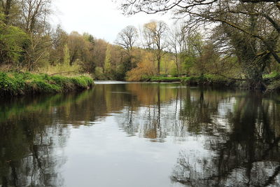 Scenic view of lake against trees in forest