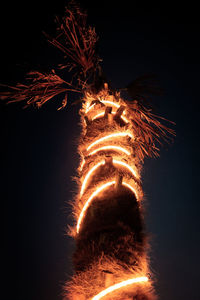 Low angle view of firework display against clear sky at night