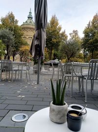 Potted plants on table by railing against sky