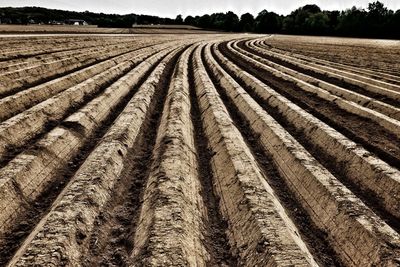 Scenic view of plowed field