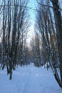 Scenic view of snow covered landscape