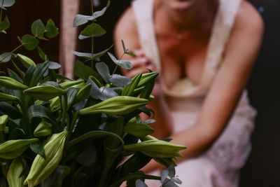 Close-up of flower bud with woman in background