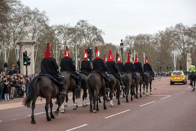 Horses on the road