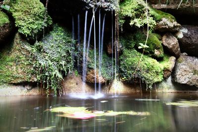 Close-up of water fountain