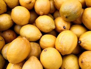 Lemons at market stall