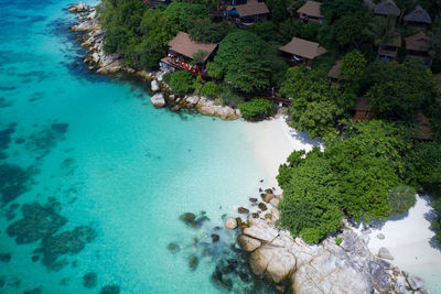 High angle view of tree by sea