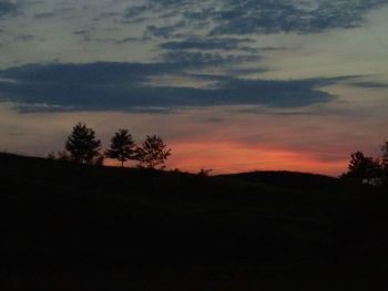 Silhouette trees on field against sky at sunset