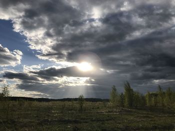 Scenic view of field against sky