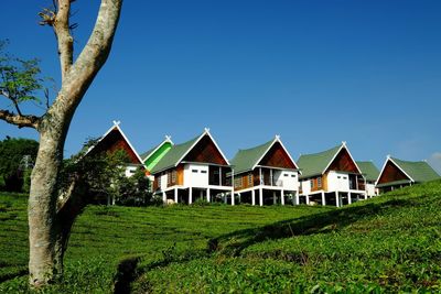 Houses and trees on field against clear sky