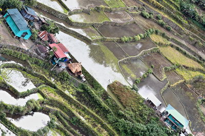 High angle view of road amidst trees on field