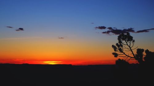 Silhouette of trees at sunset