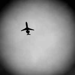 Low angle view of silhouette bird flying against sky