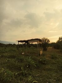 Scenic view of field against sky during sunset