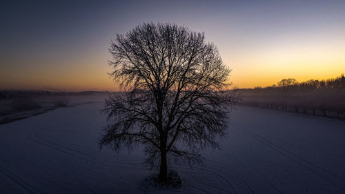 Silhouette bare tree against sky during sunset