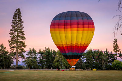 Hot air balloon flying over trees on field against sky at sunset