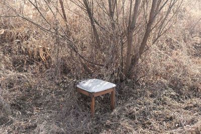 Empty bench in park