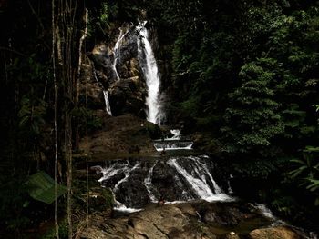 Waterfall in forest