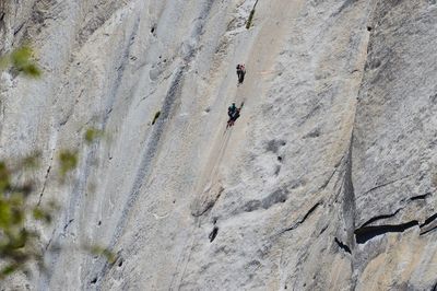 Full frame shot of rock climber.