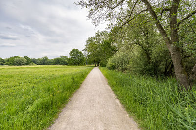 Road amidst trees against sky