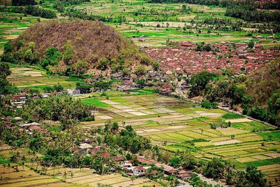 Scenic view of rural landscape