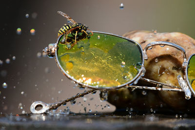 High angle view of water splashing in glass