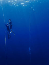 People free diving in sea