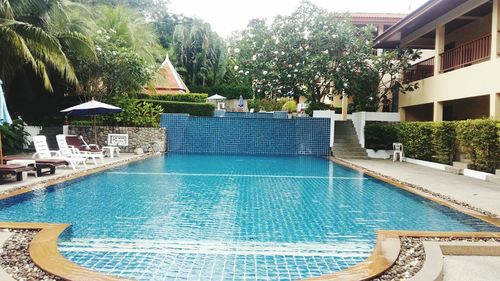 Swimming pool by trees