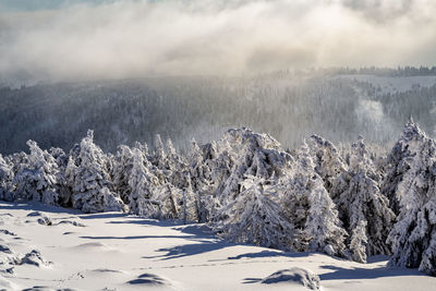 Scenic view of snow covered mountains against sky