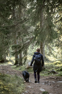 Rear view of woman with dog walking in forest