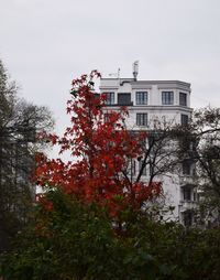 Low angle view of tree by building against sky