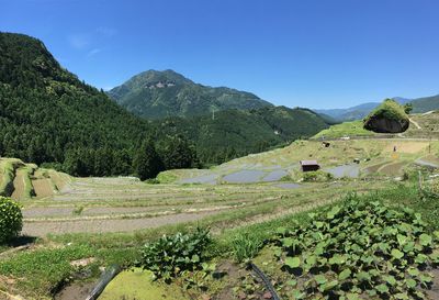 Scenic view of agricultural field against sky