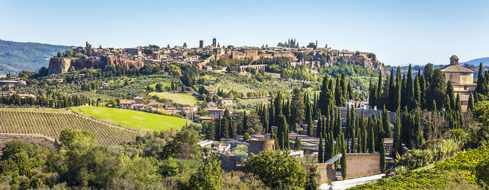 Panoramic shot of plants and buildings against sky