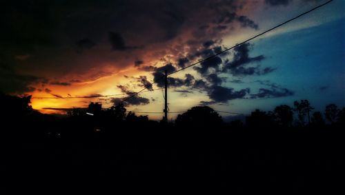 Silhouette of trees at sunset